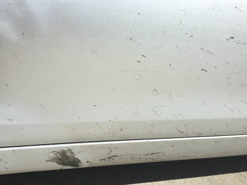 如何清除車子油漬